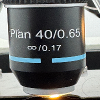 Accu-Scope 3012 Series Microscope image 3